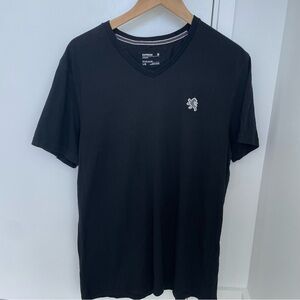 Express Men’s Vneck Shirts Size Large
